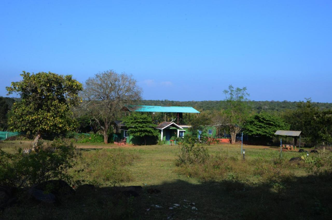 Aarraams Farms & Resorts Masinagudi Buitenkant foto