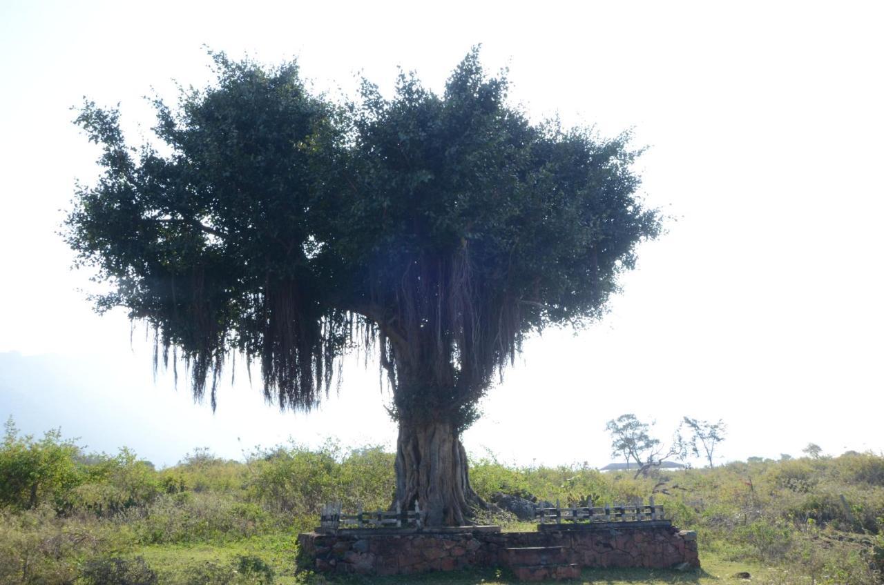 Aarraams Farms & Resorts Masinagudi Buitenkant foto