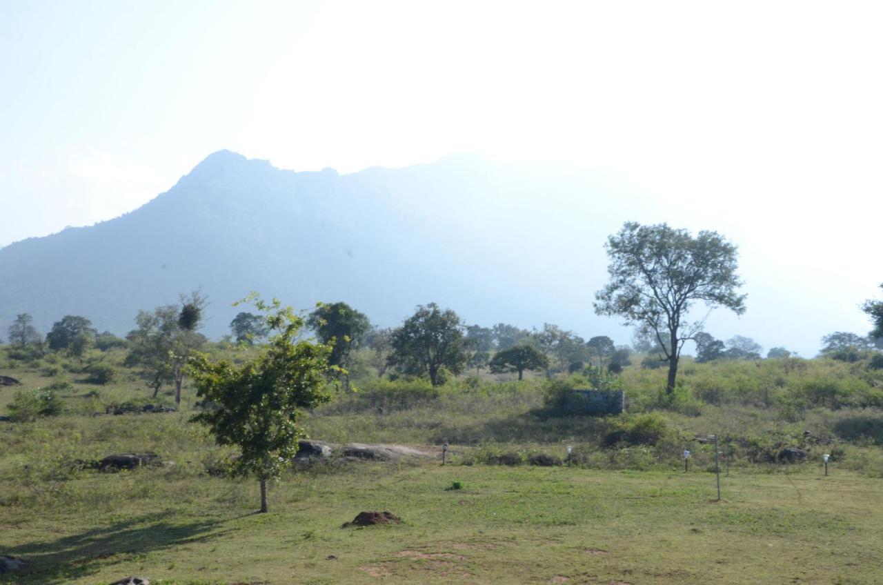 Aarraams Farms & Resorts Masinagudi Buitenkant foto