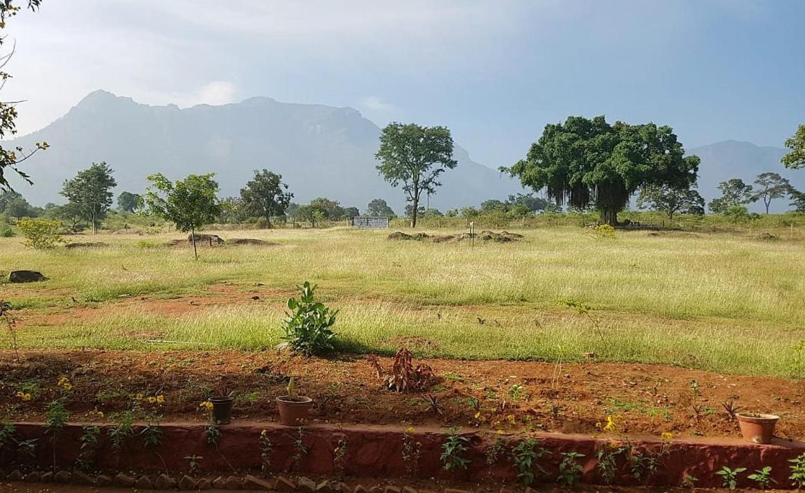 Aarraams Farms & Resorts Masinagudi Buitenkant foto