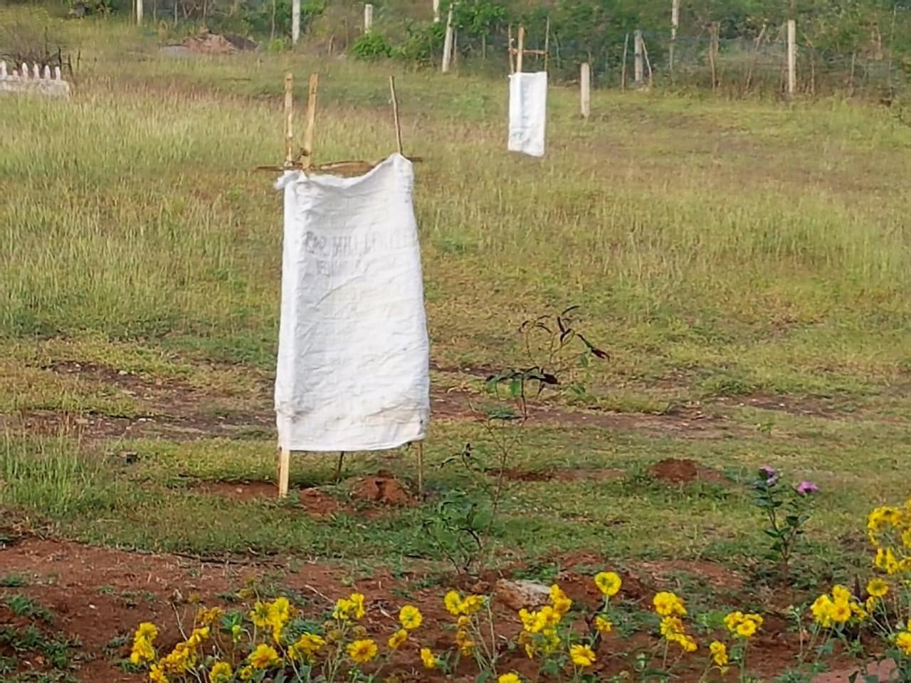 Aarraams Farms & Resorts Masinagudi Buitenkant foto